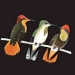 Birds of Aruba, Curaçao and Bonaire